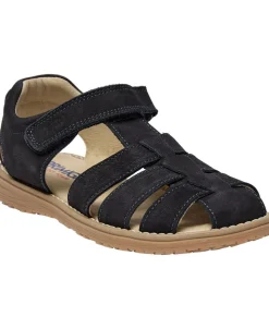 PDH 79205 NABUK CODEX