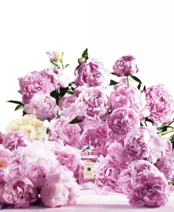 Peony & Blush Suede Cologne