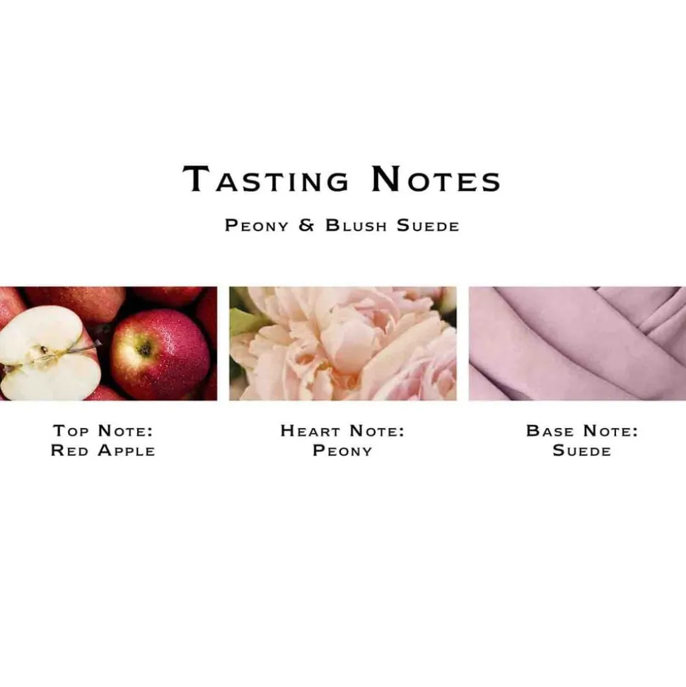 Peony & Blush Suede Scented Classic Candle