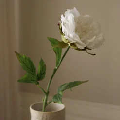 Peony Flower
