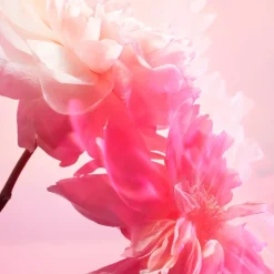 Pillow Talk Love Frequency Kit - Makeup- og parfumesæt