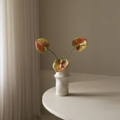 Pink Medium Anthurium Flower