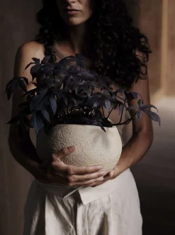 Plantas Planter, H 26, Ivory