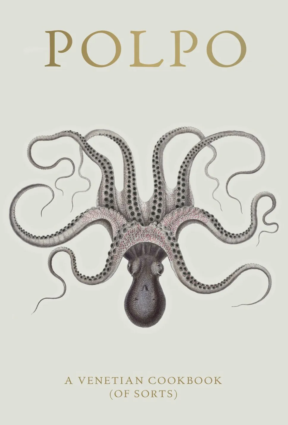 Polpo