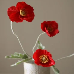 Poppy Flower
