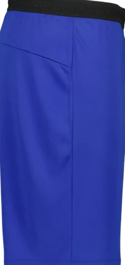 Progress 2. 0 Trænings Shorts