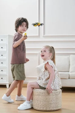 REVOLT Follow me Bee RC