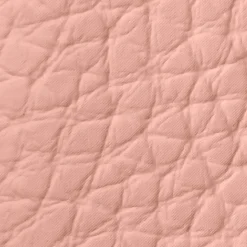 Rouge G The double mirror case