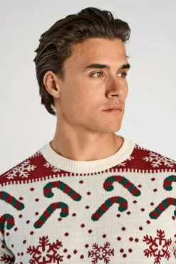 Santa sweater