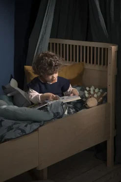 Sebra Sengen, Baby & Jr. , Wooden Edition