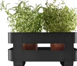Selvvandende Herb organiser stål Black