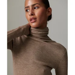 Sierra - Daily Elements