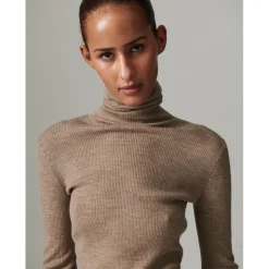 Sierra - Daily Elements