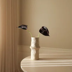 Small Anthurium Flower