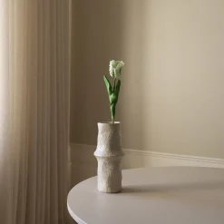 Small Parrot Tulip Flower