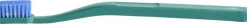 Tann Toothbrush-Pine green and blue