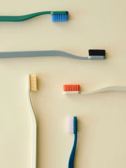 Tann Toothbrush-Pine green and blue
