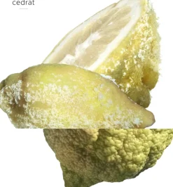 TERRE D'HERMÈS EAU GIVRÈE EAU DE PARFUM