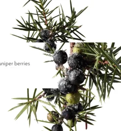 TERRE D'HERMÈS EAU GIVRÈE EAU DE PARFUM