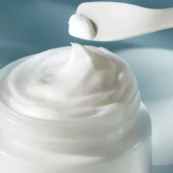 The Moisturizing Soft Cream
