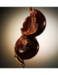 The Scent Eau De Toilette