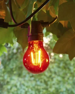 Tobias, Reservepære, Rød