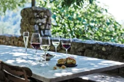 Vinoteque maturo 2 stk. 49 cl.