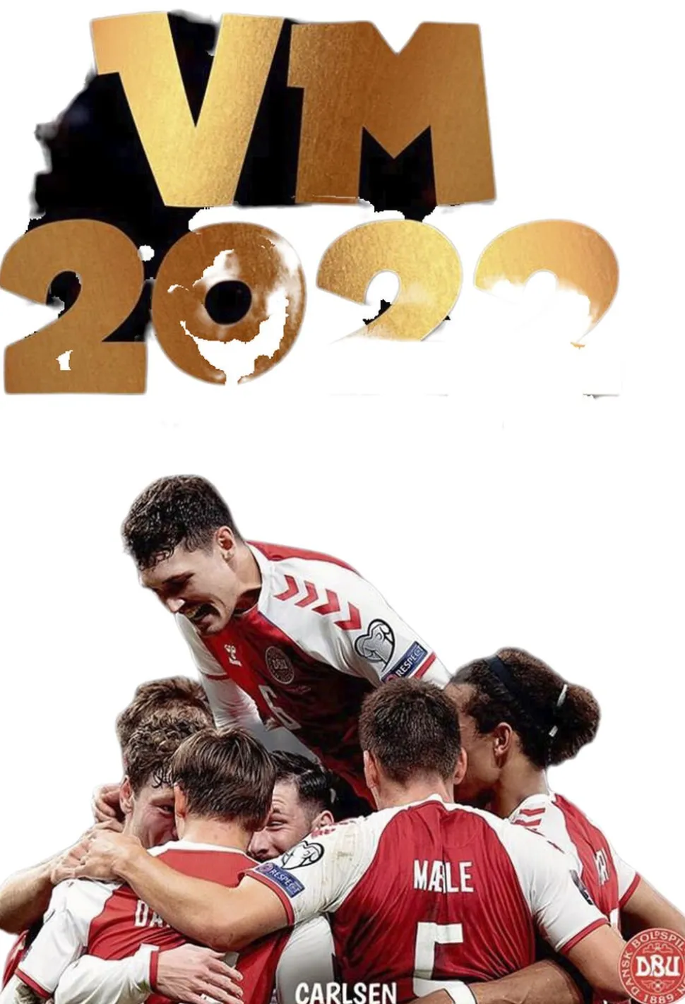 VM 2022 - bogen med landsholdet