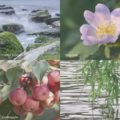 ØY Scent Diffuser 100ml